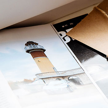 竭泽而渔指是什么生肖，精选释义详作解答