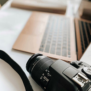 架海金梁指是代表什么生肖，释义解释成语